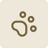 Animal Care