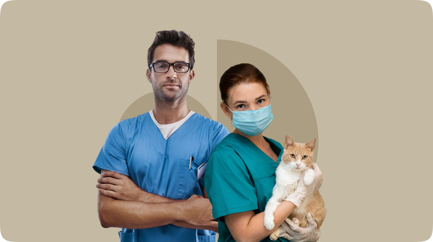 Diploma in Animal Physical Therapy - Level 3