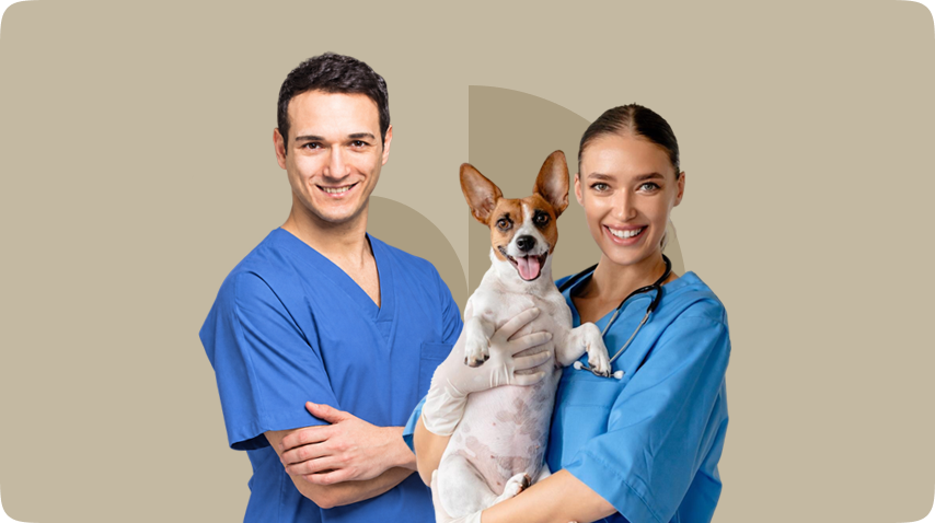 Diploma in Dog Behaviour and Training - Level 3
